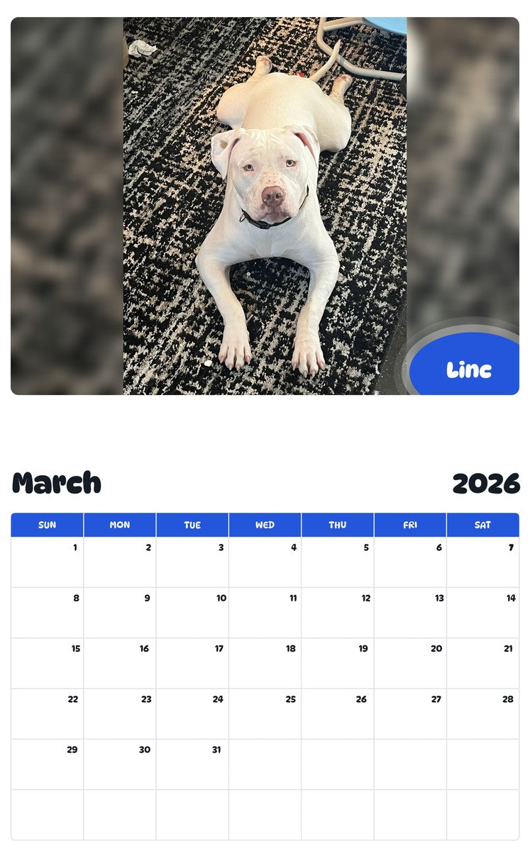 November 2025 - October 2026 Linc - Pawidols Pet Calendar
