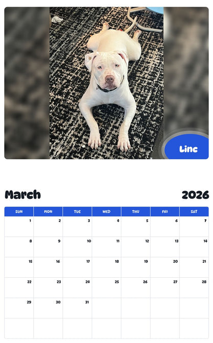 November 2025 - October 2026 Linc - Pawidols Pet Calendar