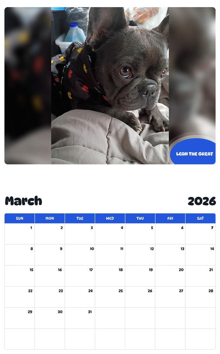 November 2025 - October 2026 LEAH THE GREAT - Pawidols Pet Calendar