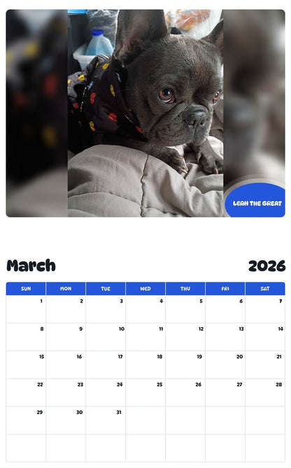 November 2025 - October 2026 LEAH THE GREAT - Pawidols Pet Calendar