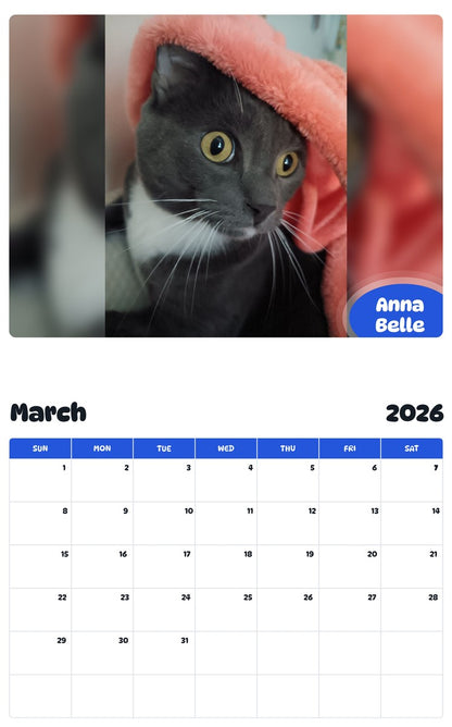 November 2025 - October 2026 Anna Belle - Pawidols Pet Calendar