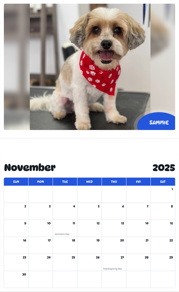 July 2025 - June 2026 Sammie - Pawidols Pet Calendar
