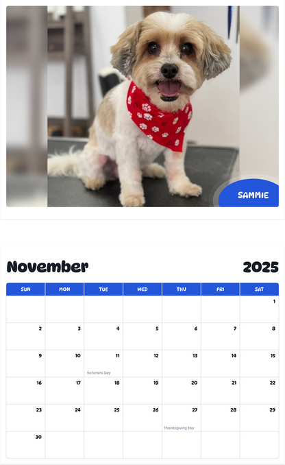 July 2025 - June 2026 Sammie - Pawidols Pet Calendar