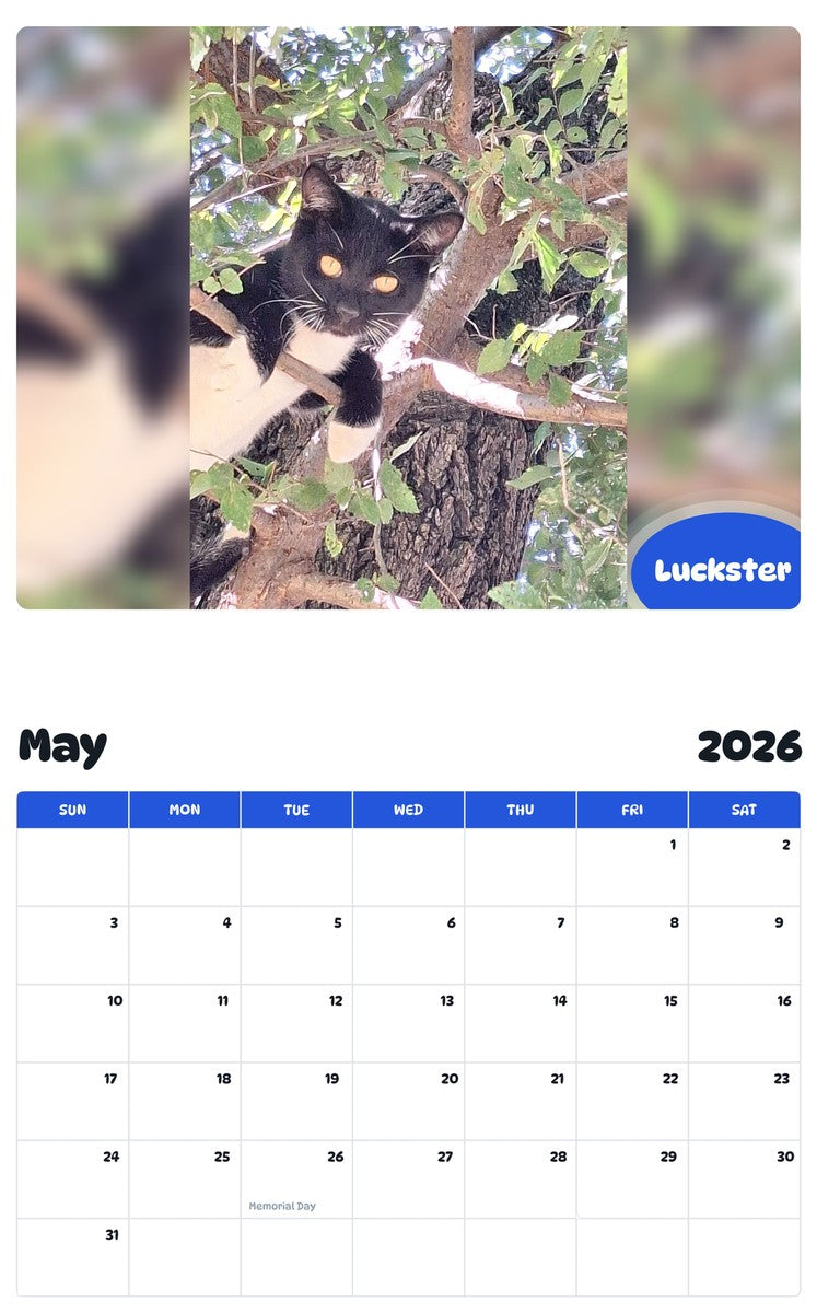 2026 - 2027 Luckster - Pawidols Pet Calendar