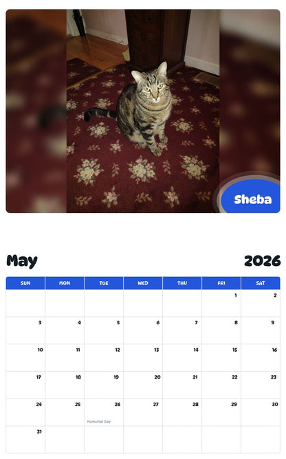 2026 - 2027 Sheba - Pawidols Pet Calendar