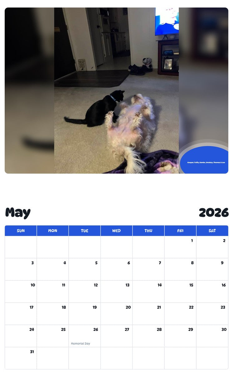 2026 - 2027 Cooper, Tuffy, Sambo, Smokey, Thomas & Leo - Pawidols Pet Calendar