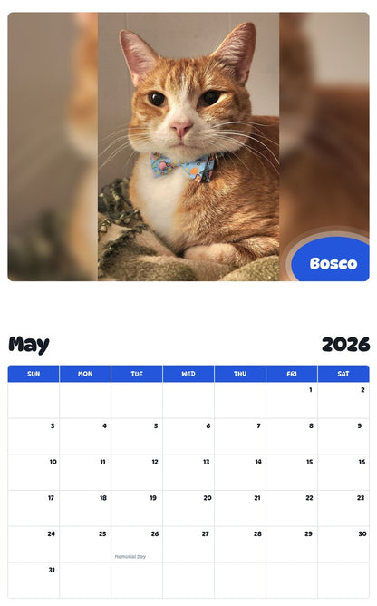 2026 - 2027 Bosco - Pawidols Pet Calendar