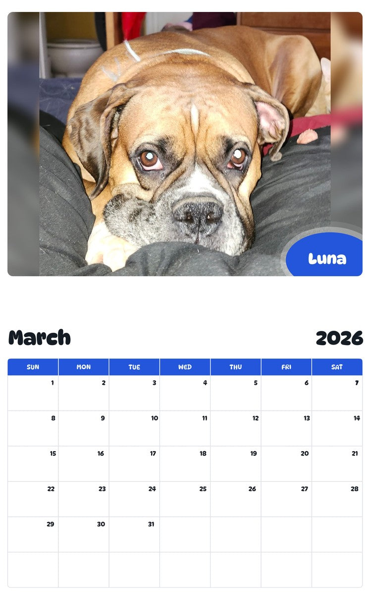 November 2025 - October 2026 Luna - Pawidols Pet Calendar