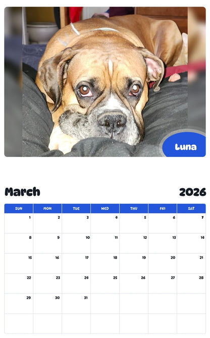 November 2025 - October 2026 Luna - Pawidols Pet Calendar