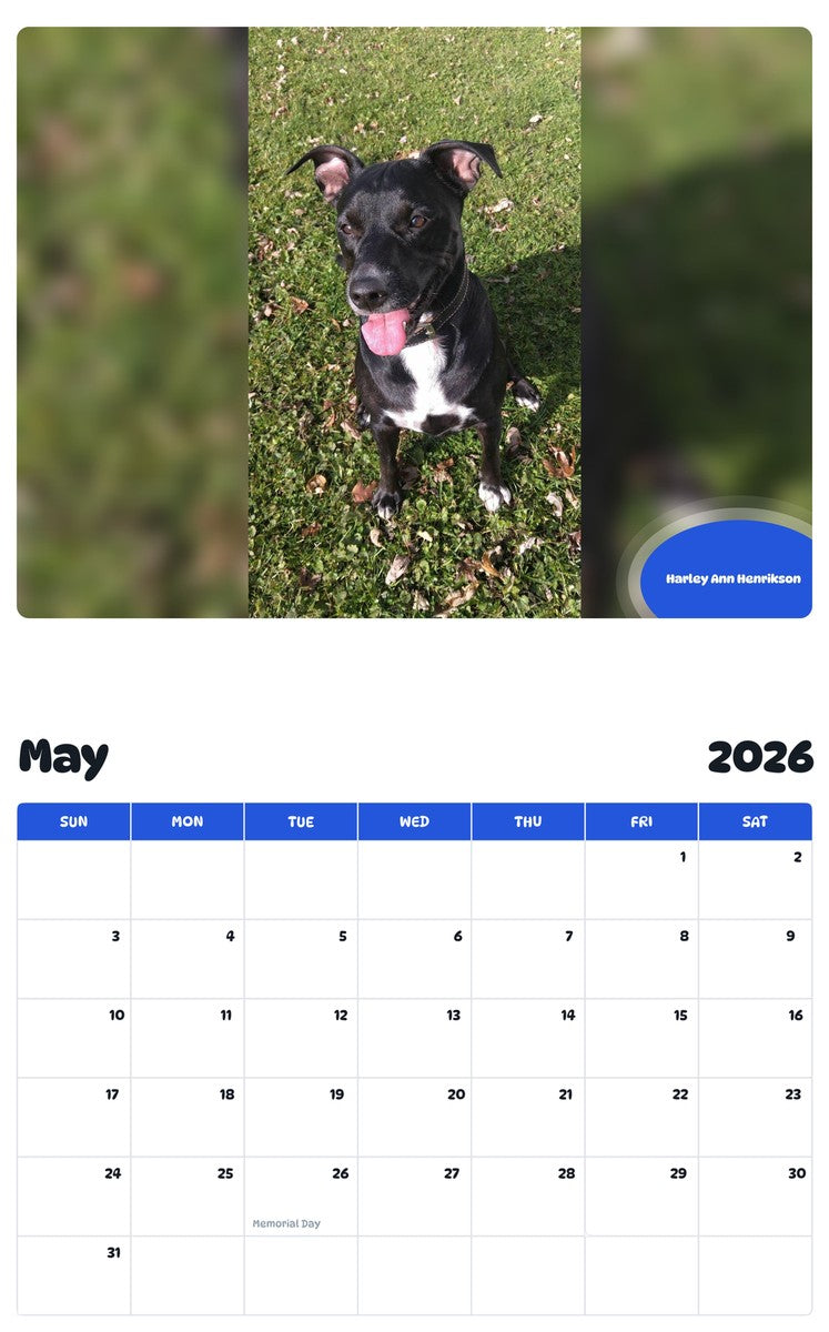 2026 - 2027 Harley Ann Henrikson - Pawidols Pet Calendar