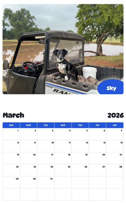 November 2025 - October 2026 Sky - Pawidols Pet Calendar
