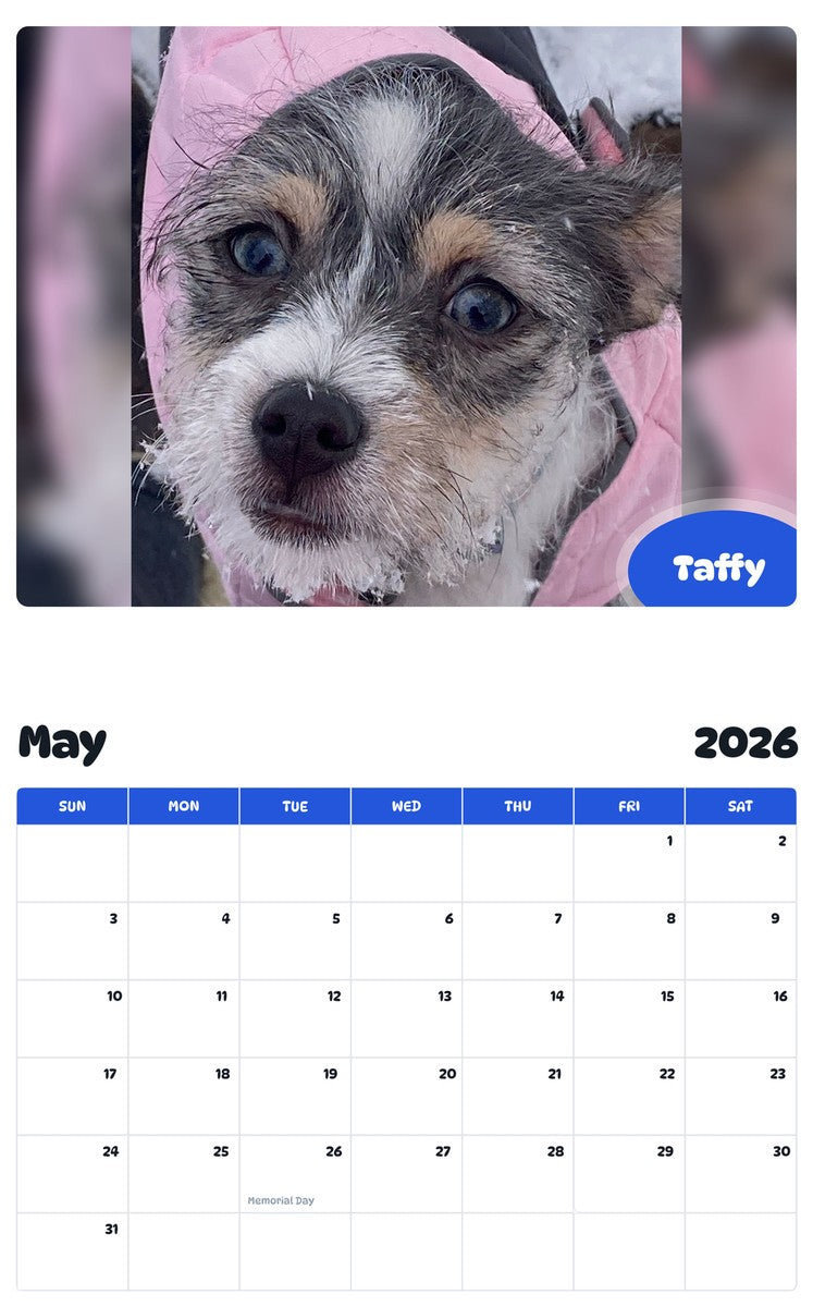 2026 - 2027 Taffy - Pawidols Pet Calendar