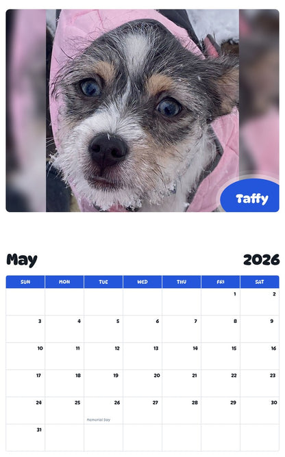2026 - 2027 Taffy - Pawidols Pet Calendar