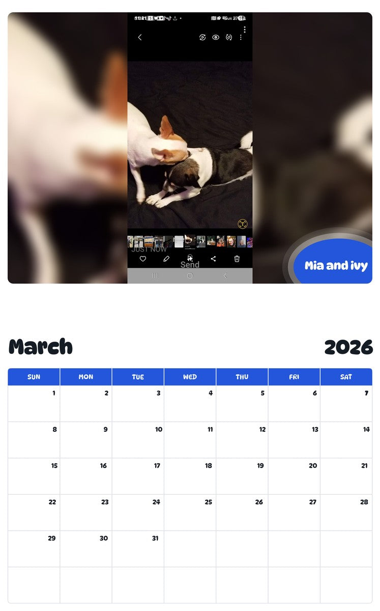 November 2025 - October 2026 Mia and ivy - Pawidols Pet Calendar