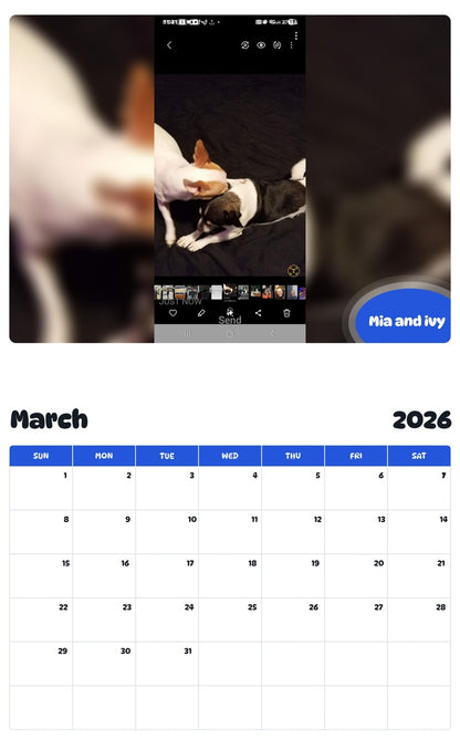 November 2025 - October 2026 Mia and ivy - Pawidols Pet Calendar