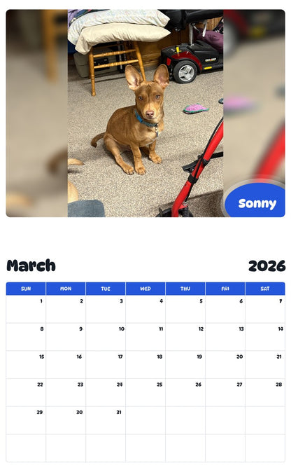 November 2025 - October 2026 Sonny - Pawidols Pet Calendar