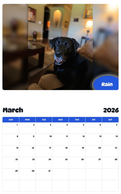 November 2025 - October 2026 Rain - Pawidols Pet Calendar