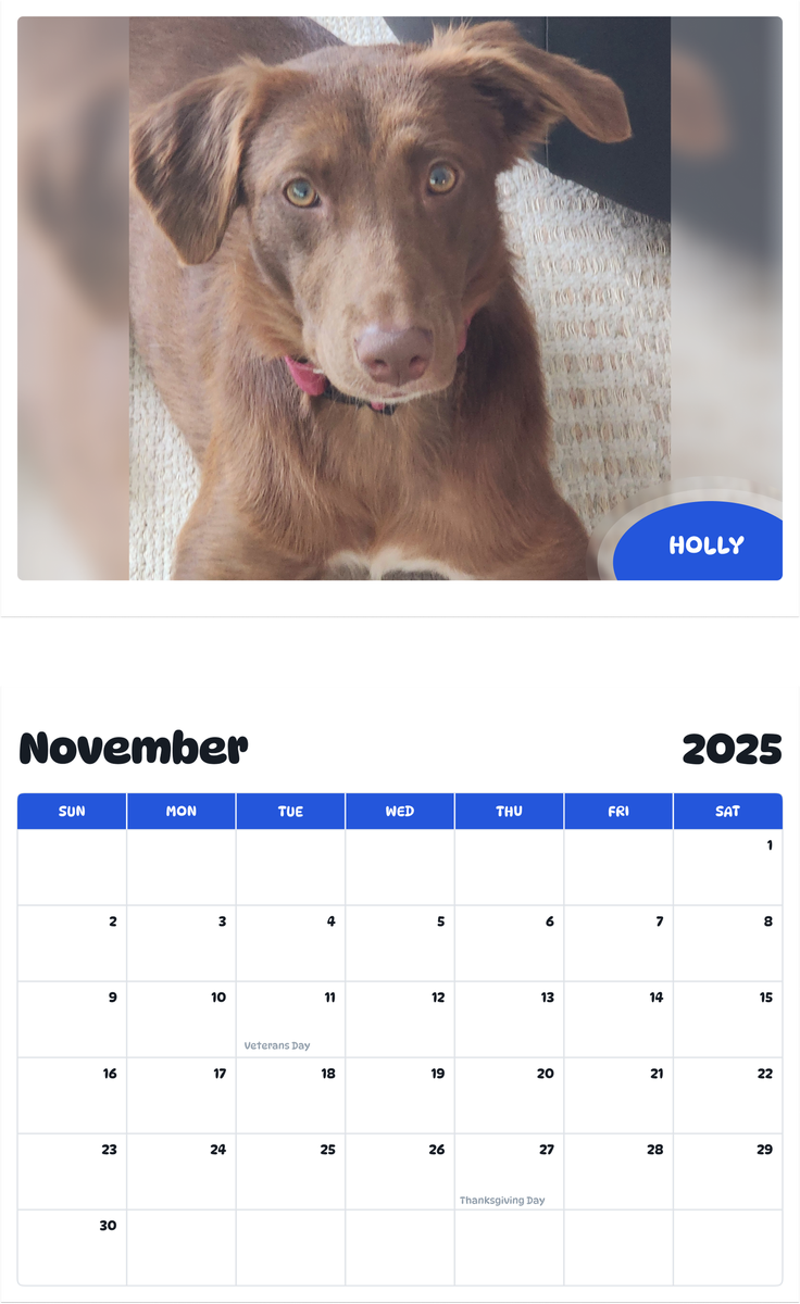 July 2025 - June 2026 Holly - Pawidols Pet Calendar
