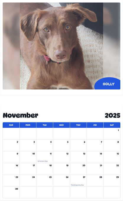 July 2025 - June 2026 Holly - Pawidols Pet Calendar