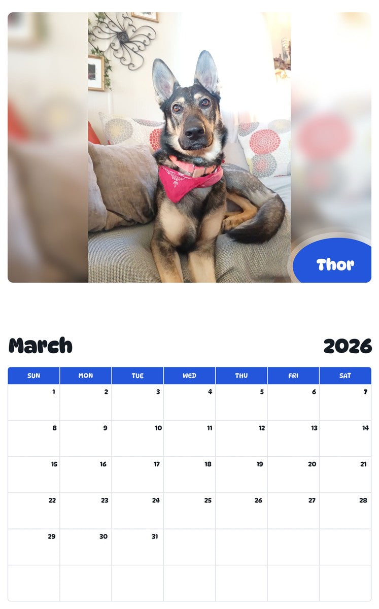 November 2025 - October 2026 Thor - Pawidols Pet Calendar