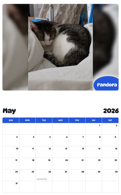 2026 - 2027 Pandora - Pawidols Pet Calendar