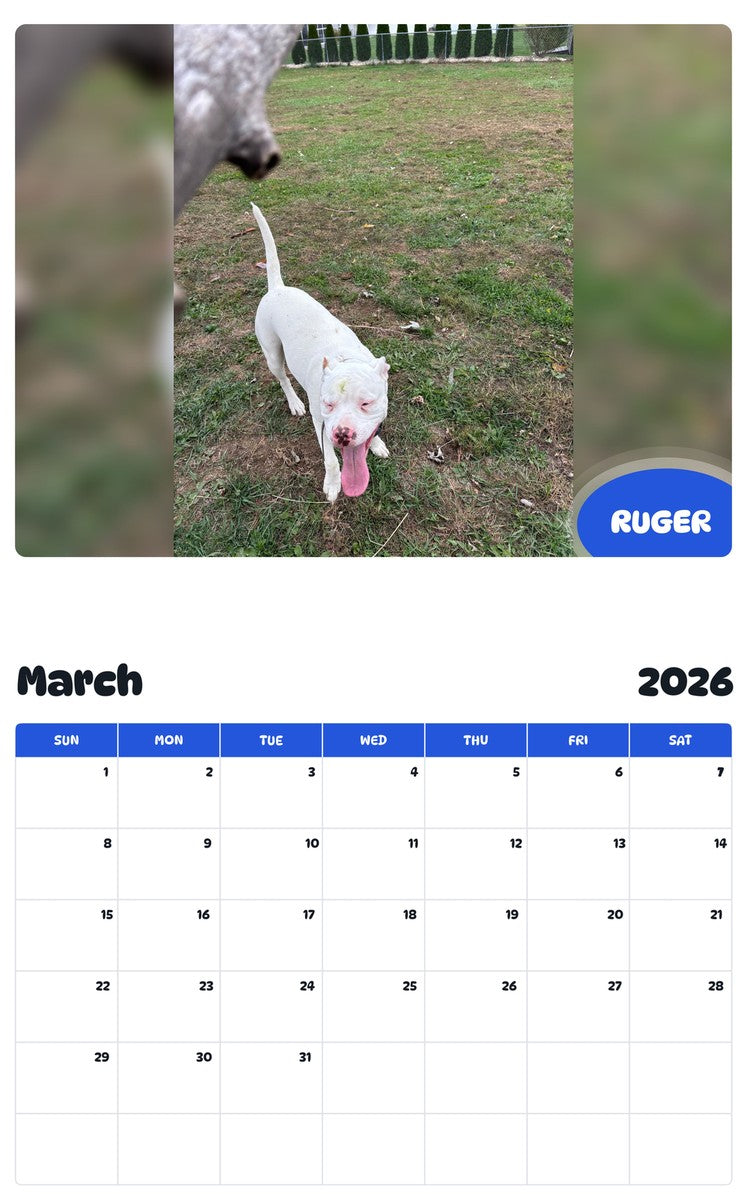 November 2025 - October 2026 RUGER - Pawidols Pet Calendar