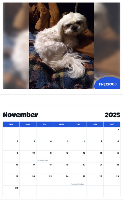 July 2025 - June 2026 Precious - Pawidols Pet Calendar