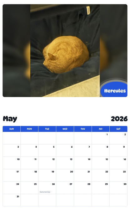 2026 - 2027 Hercules - Pawidols Pet Calendar