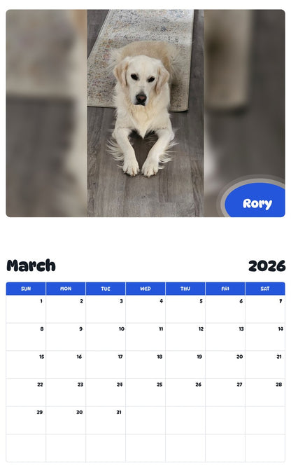November 2025 - October 2026 Rory - Pawidols Pet Calendar