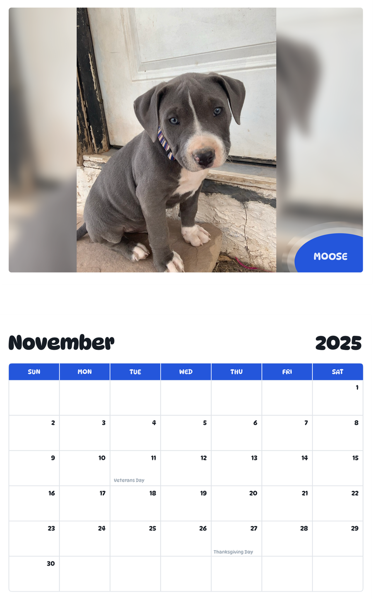July 2025 - June 2026 Moose - Pawidols Pet Calendar