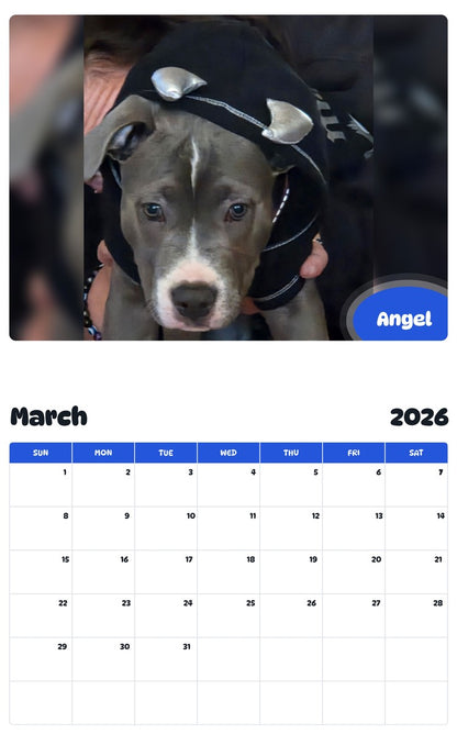 November 2025 - October 2026 Angel - Pawidols Pet Calendar