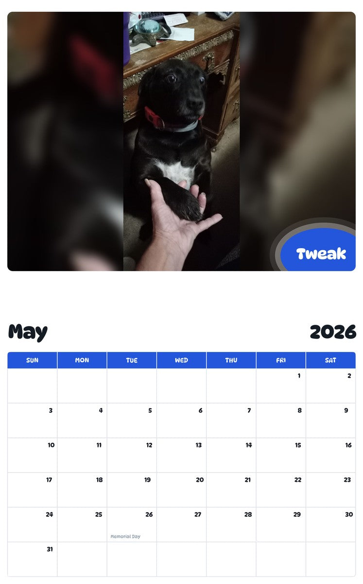 2026 - 2027 Tweak - Pawidols Pet Calendar