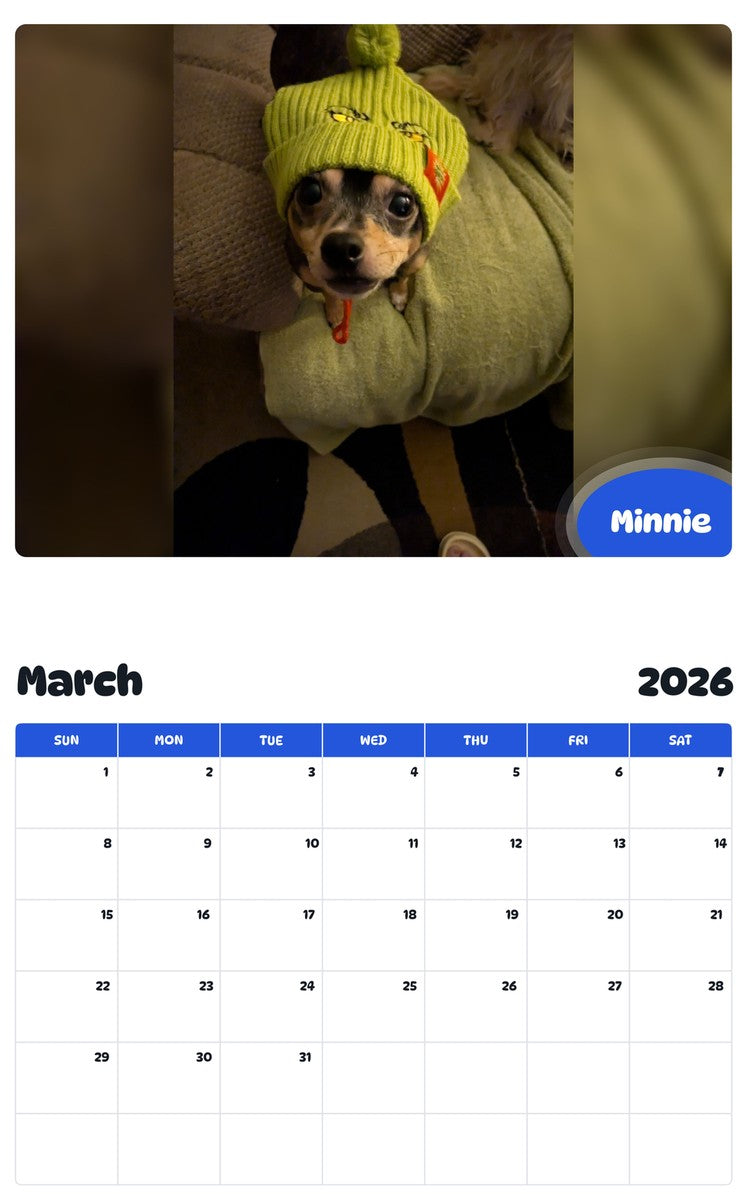 November 2025 - October 2026 Minnie - Pawidols Pet Calendar