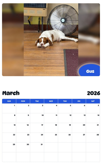November 2025 - October 2026 Gus - Pawidols Pet Calendar