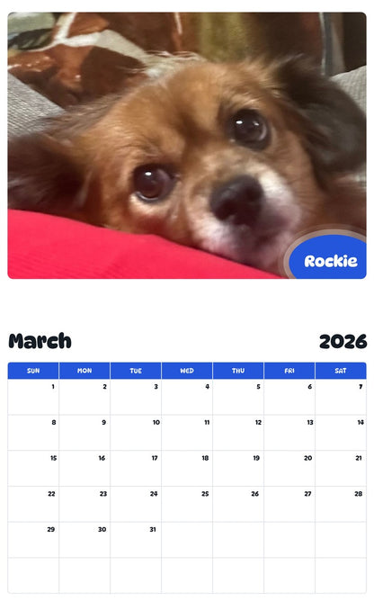 November 2025 - October 2026 Rockie - Pawidols Pet Calendar