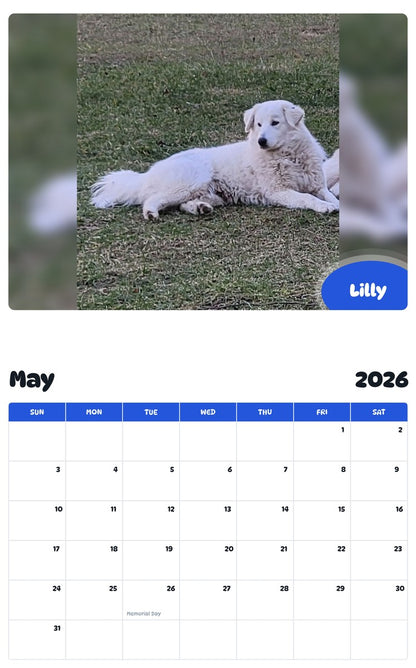 2026 - 2027 Lilly - Pawidols Pet Calendar