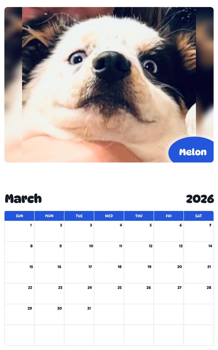 November 2025 - October 2026 Melon - Pawidols Pet Calendar