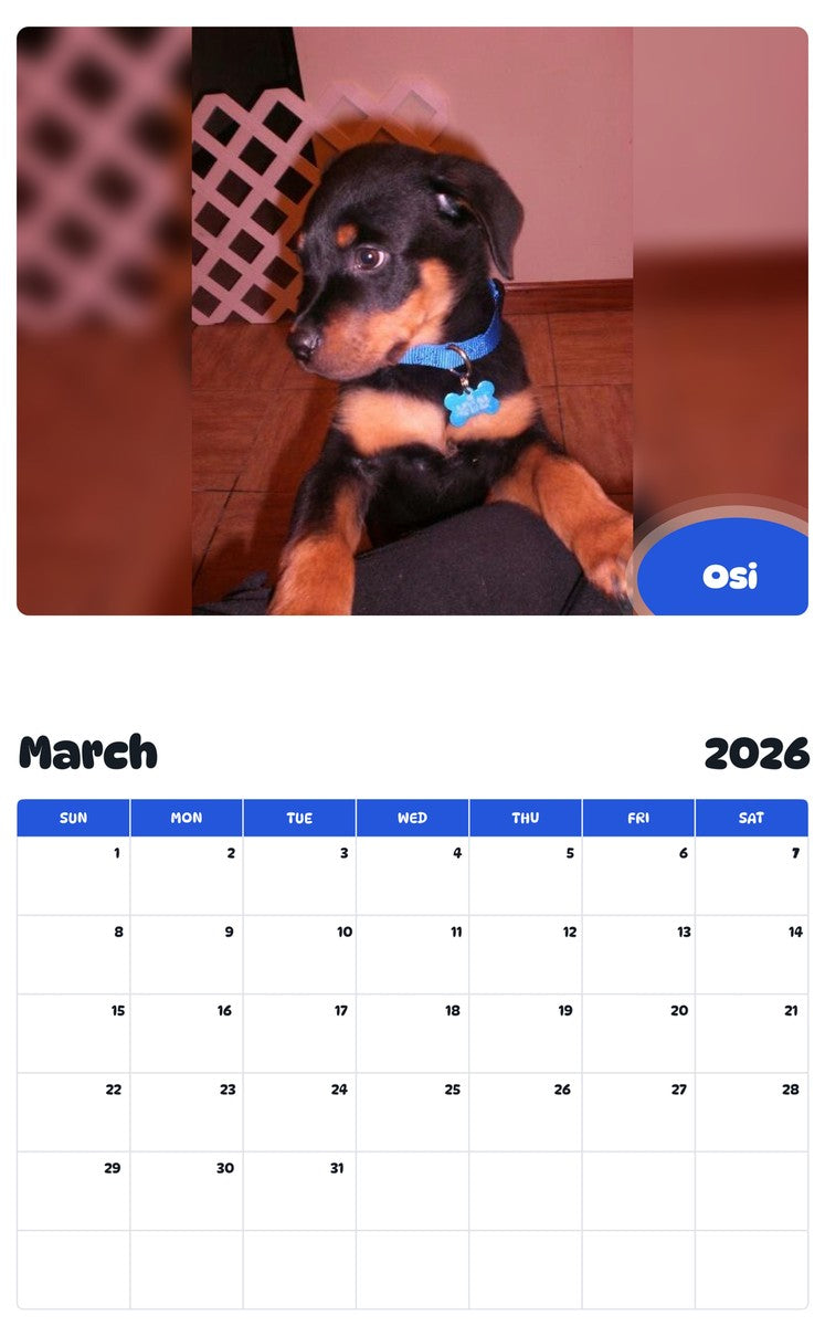 November 2025 - October 2026 Osi - Pawidols Pet Calendar