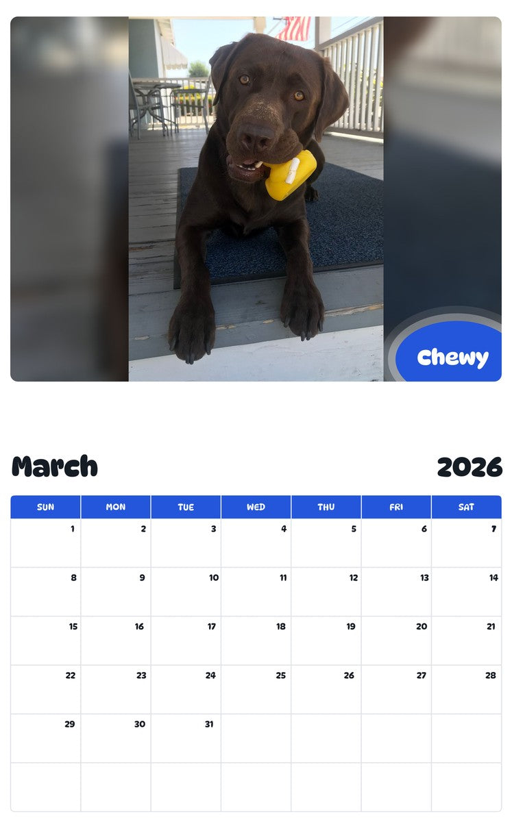 November 2025 - October 2026 Chewy - Pawidols Pet Calendar