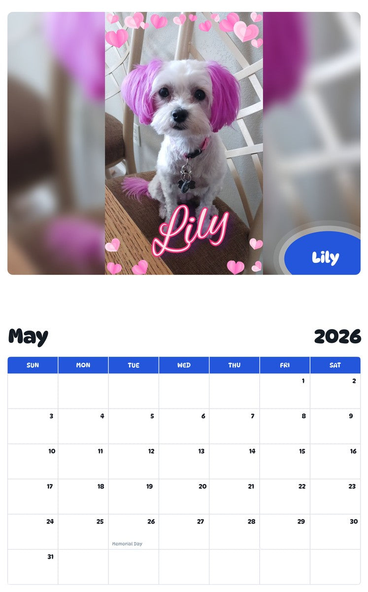 2026 - 2027 Lily - Pawidols Pet Calendar