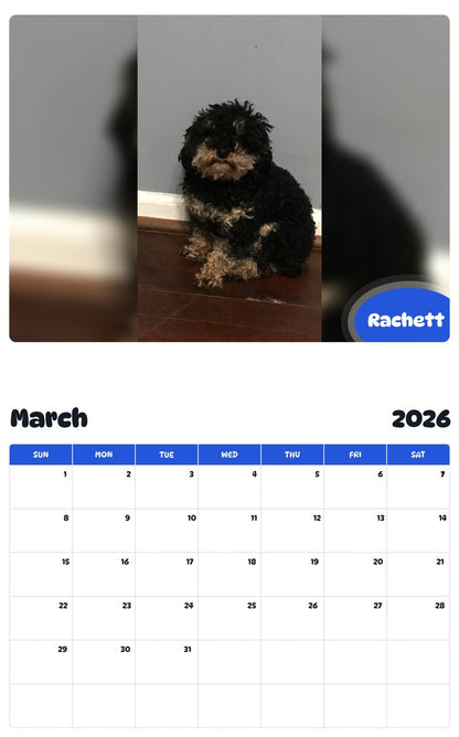 November 2025 - October 2026 Rachett - Pawidols Pet Calendar