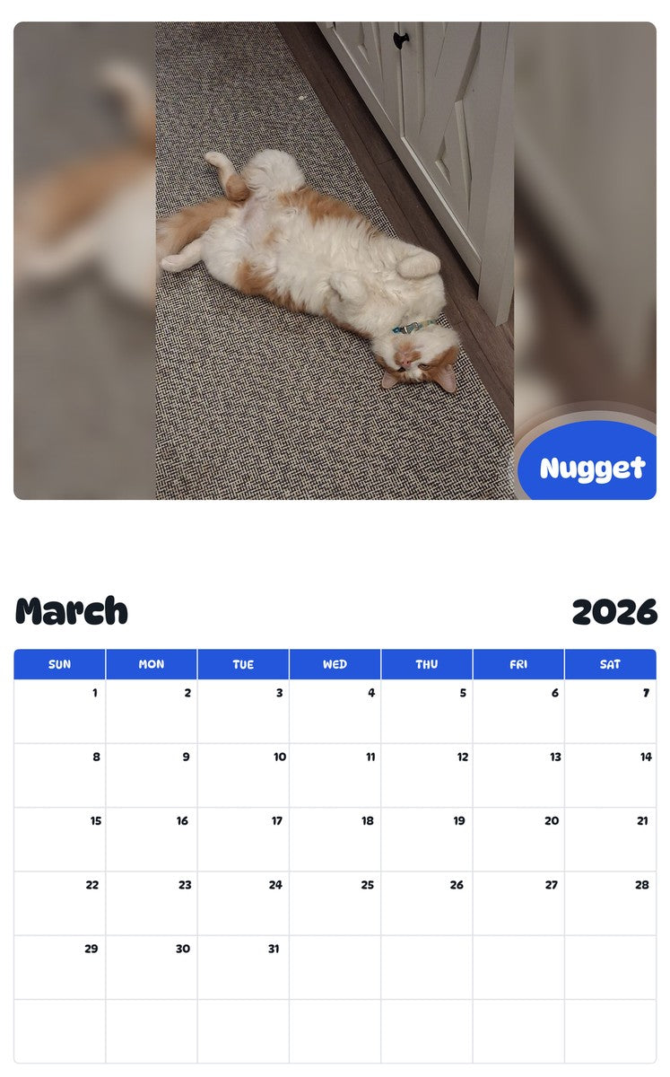 November 2025 - October 2026 Nugget - Pawidols Pet Calendar