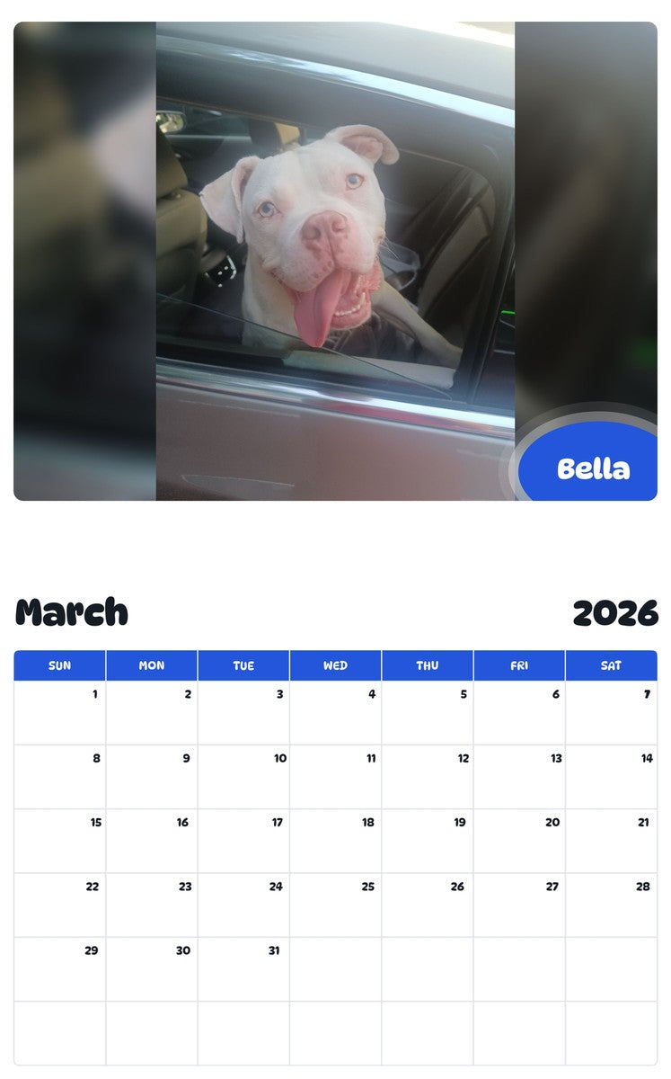 November 2025 - October 2026 Bella - Pawidols Pet Calendar