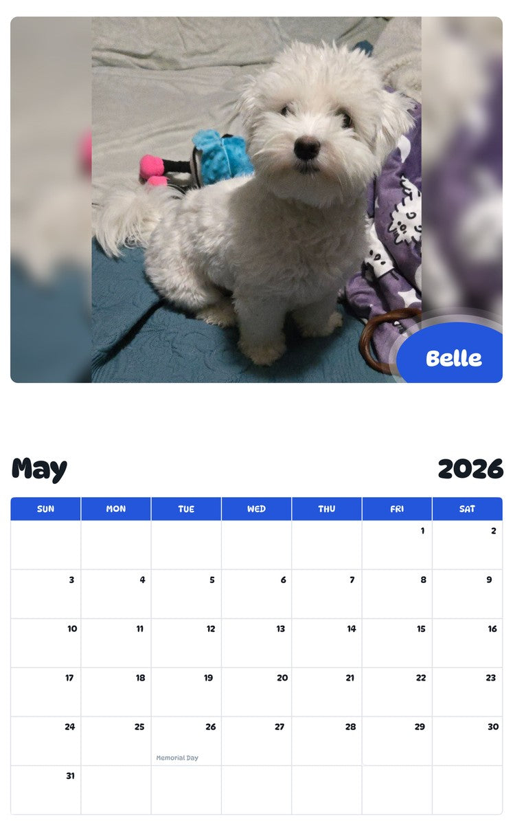 2026 - 2027 Belle - Pawidols Pet Calendar