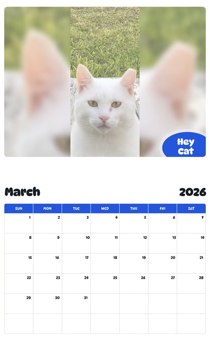 November 2025 - October 2026 Hey Cat - Pawidols Pet Calendar
