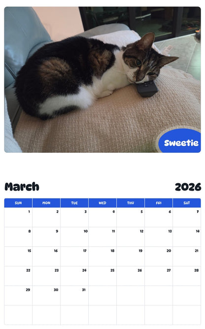 November 2025 - October 2026 Sweetie - Pawidols Pet Calendar