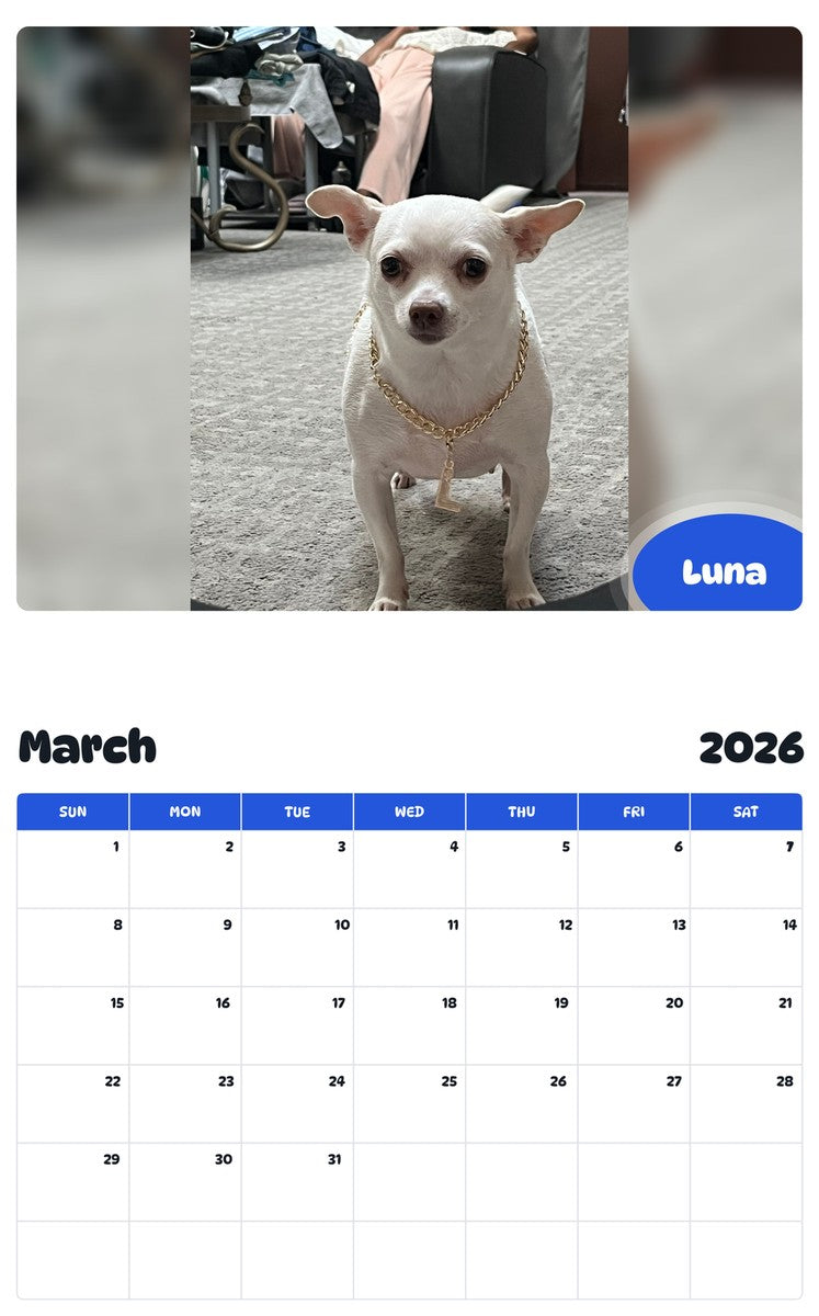 November 2025 - October 2026 Luna - Pawidols Pet Calendar