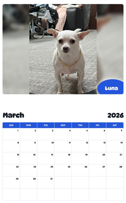 November 2025 - October 2026 Luna - Pawidols Pet Calendar