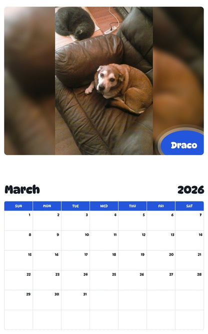 November 2025 - October 2026 Draco - Pawidols Pet Calendar