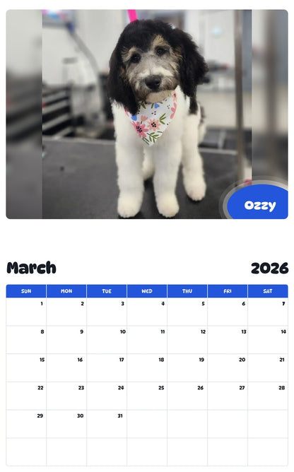 November 2025 - October 2026 Ozzy - Pawidols Pet Calendar